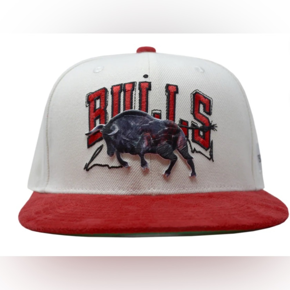 Official Chicago Bulls Artist Series Hat